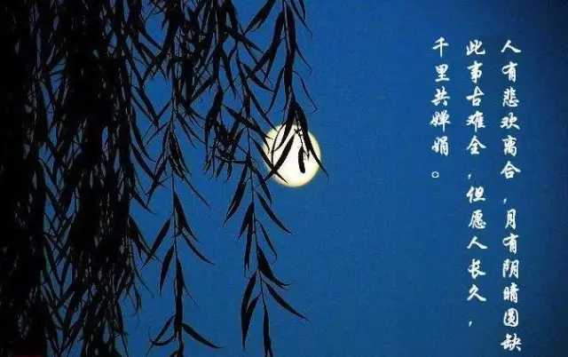 但愿人长久简谱  王菲   人月两团圆2