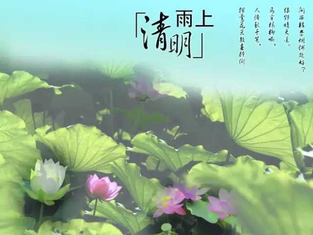 清明雨上简谱-许嵩-清明雨上，遥寄相思忆故人折菊到寄你身旁8