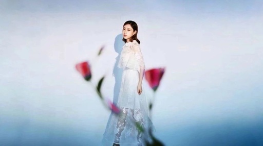 当歌简谱-叶炫清-电视剧《知否知否应是绿肥红瘦》背景音乐5