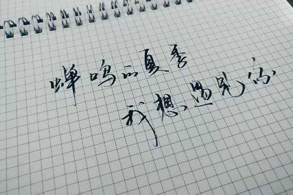 太多简谱-陈冠蒲-给你的太多太多6