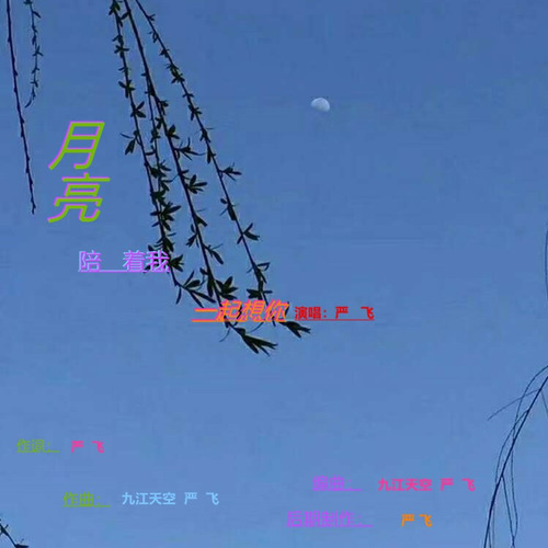 月亮陪着我一起想你简谱(歌词)-严飞1