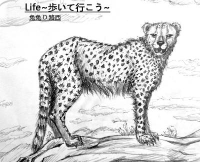 Life~歩いて行こう~简谱(歌词)-季薇儿