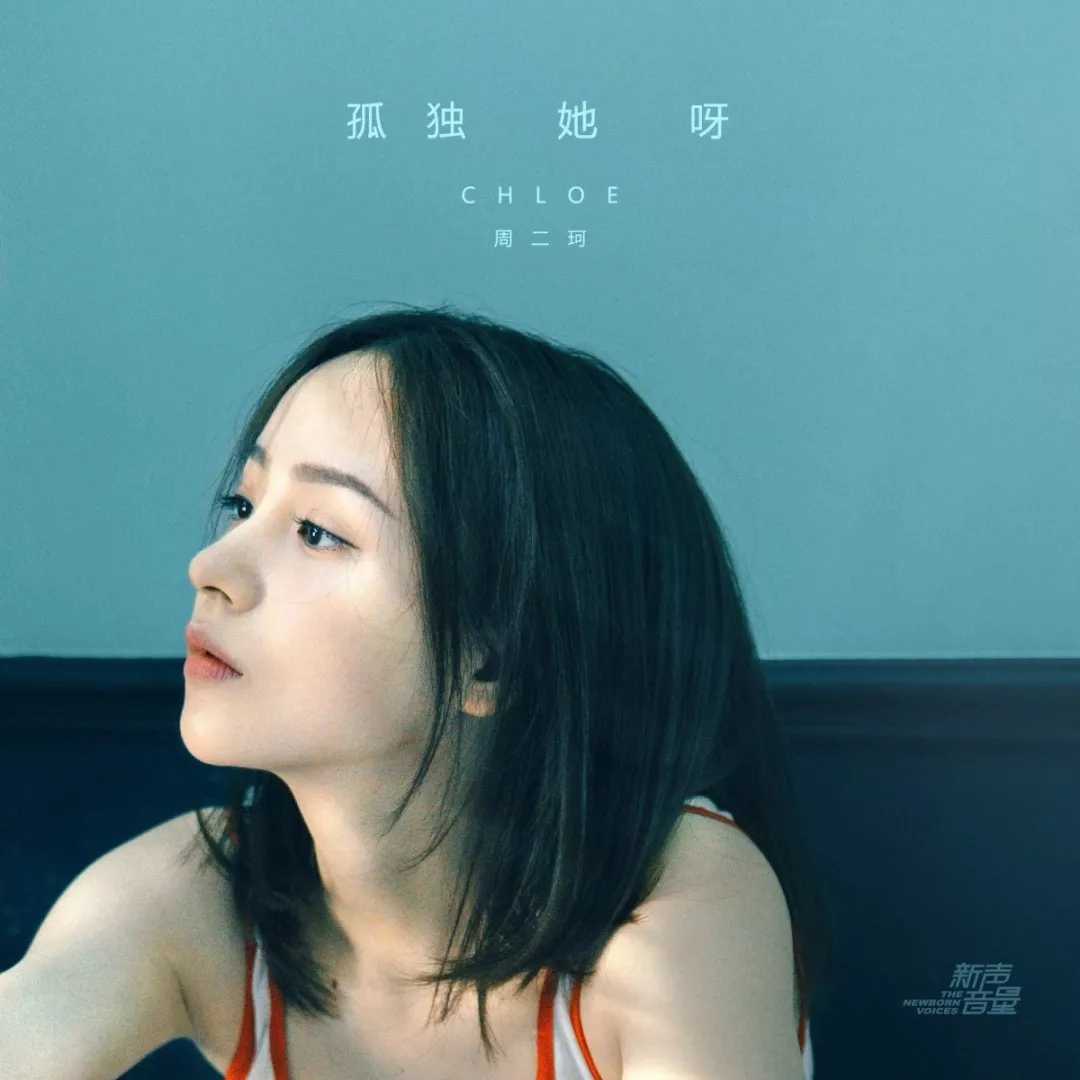 孤独她呀吉他谱-周二珂-辜负她呀，开出了花2