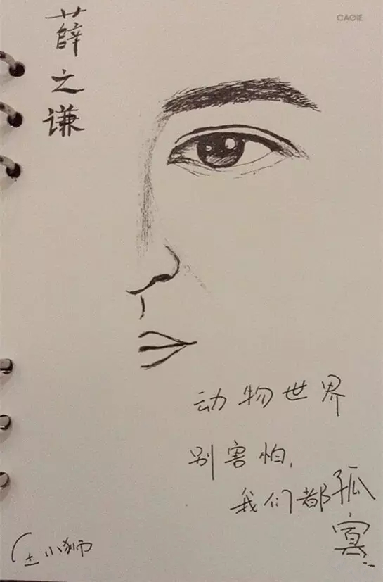 动物世界吉他谱-薛之谦 不再进化 动物世界里都太傻5