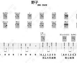 野子吉他谱男生版-蒙面歌王流浪者沙宝亮-野子六线谱