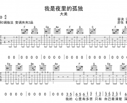我是夜里的孤独吉他谱_C调弹唱六线谱_大美