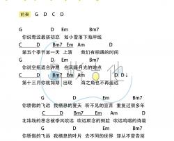 飞鸟和蝉吉他谱 任然 G调弹唱谱 抖音热门歌曲